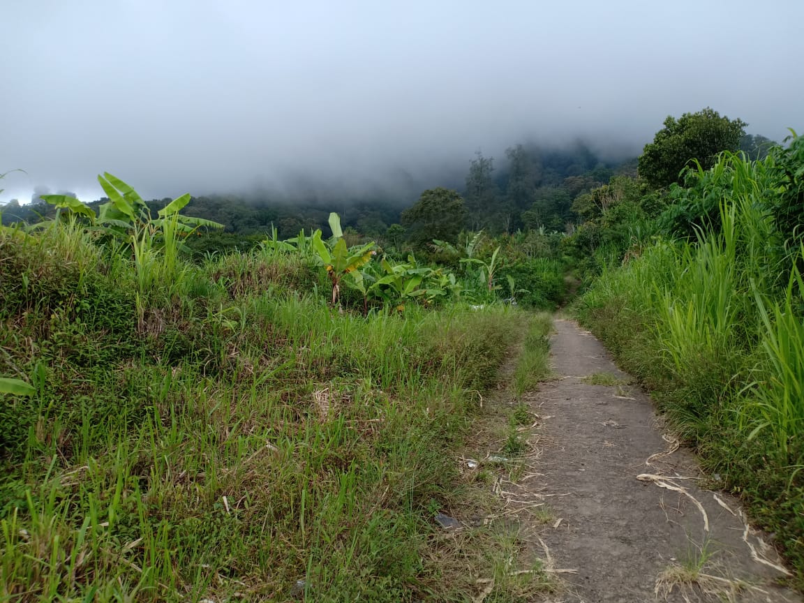 FLSingaraja53  |  Indo Investments